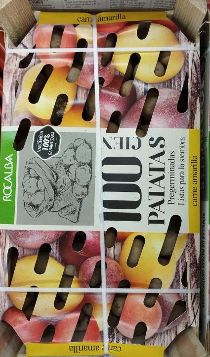 Batata de Semente